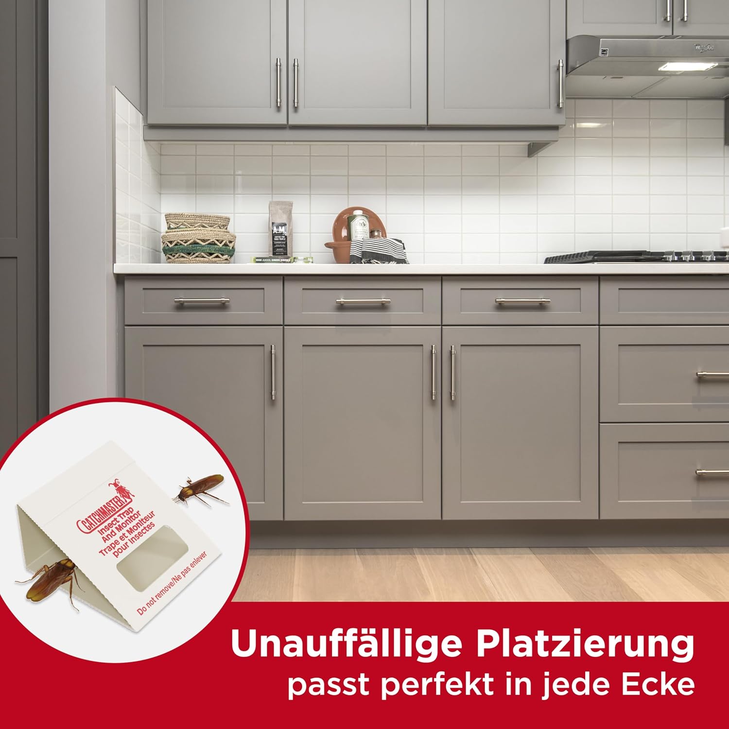 Thumbnail 3 de Catchmaster Schabenfalle 100i – 30 Premium Klebefallen für schabenartiges Ungeziefer, Monitoring & Bedarfsermittlung