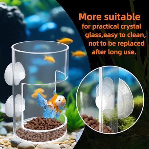Thumbnail 4 de Acrylic Automatic Feeding Ring for Fish Tank ๐ฃ