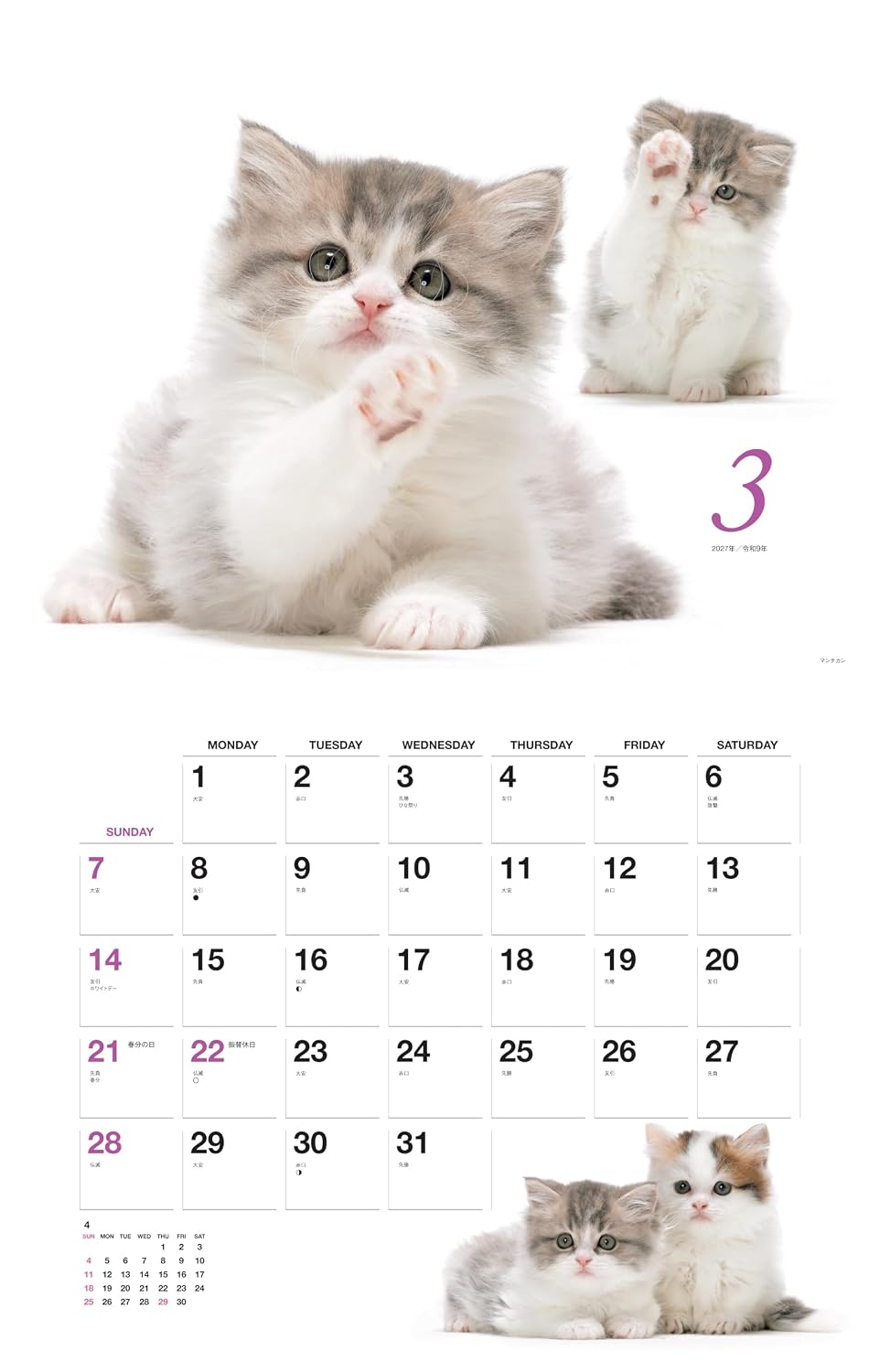 Thumbnail 6 de ヤマケイカレンダー2027 ほのぼの子ねこ 壁掛け月めくりカレンダー