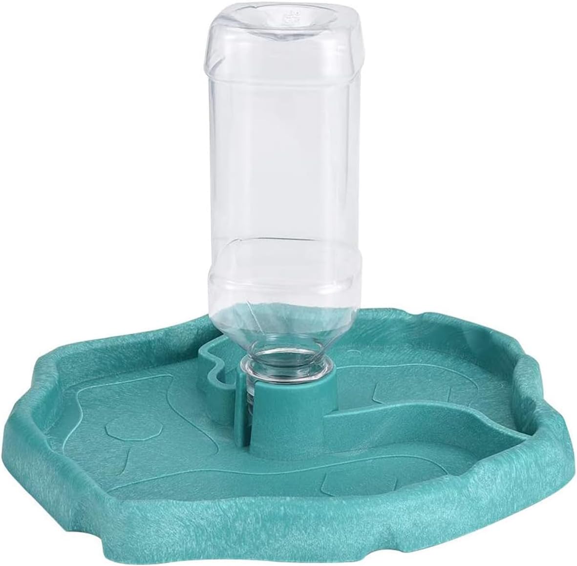 QIODAZOO Näpfe für Reptilien 200 ml 🐢