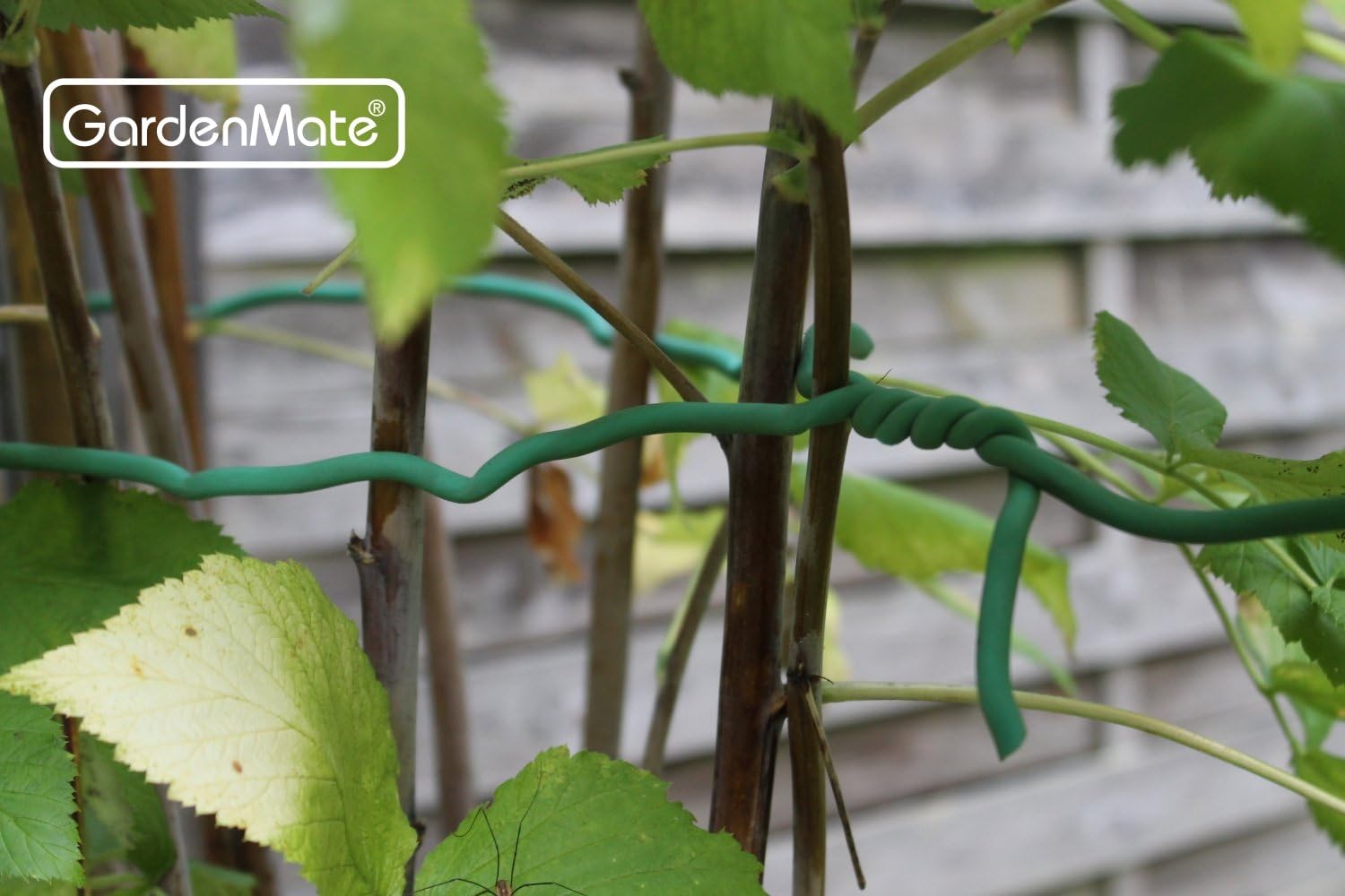 Detalle 2 de GardenMate bobina di filo di ferro per giardinaggio rivestito gommato con schiuma 5 mm, 5 m