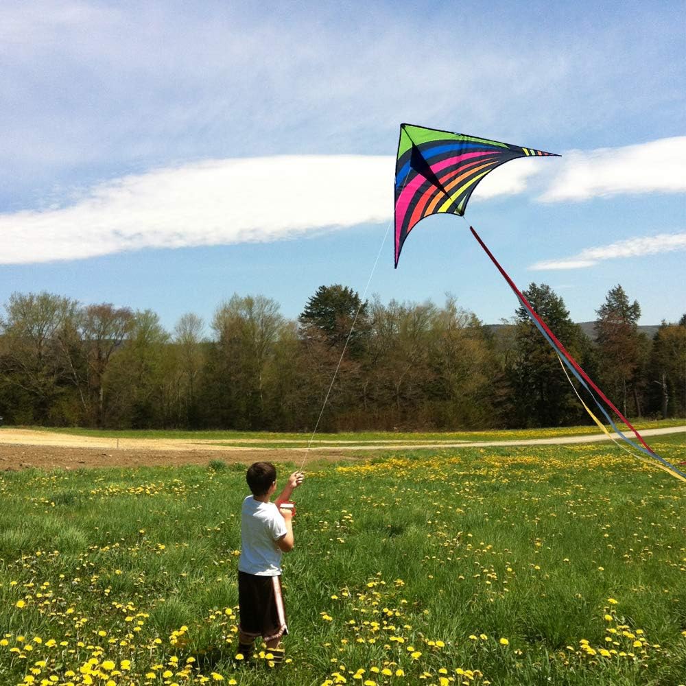 Detalle 2 de Mint's Colorful Life Delta Kite — Easy-to-Fly Beach Kite for Kids & Adults