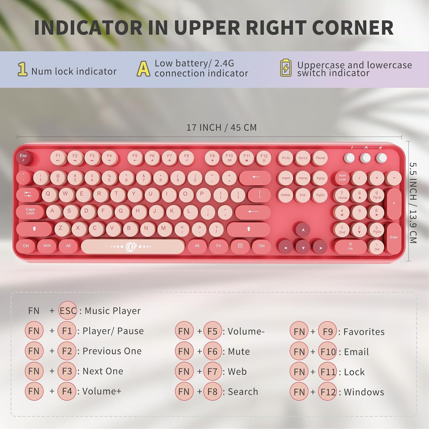 Detalle de MilkTea Wireless Keyboard and Mouse 2.4 GHz 🖱