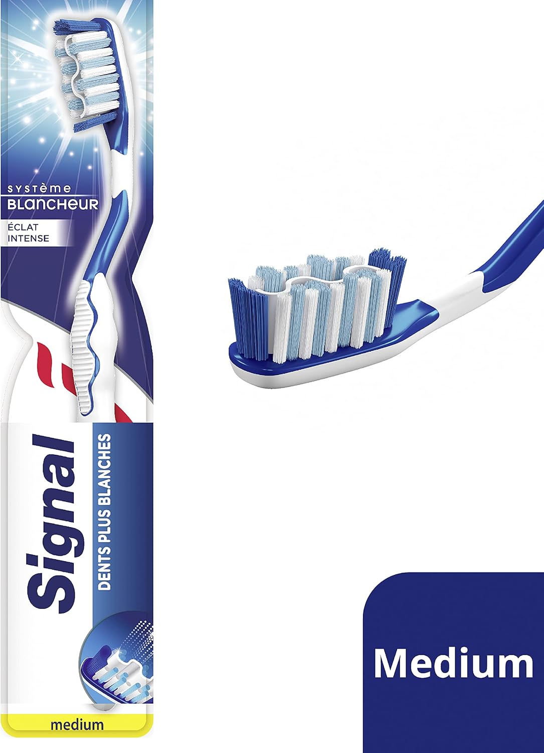 Thumbnail 2 de SIGNAL - Brosse à Dents Système Blancheur Éclat Intense Medium (lot de 12) avec 87% de plastique recyclé