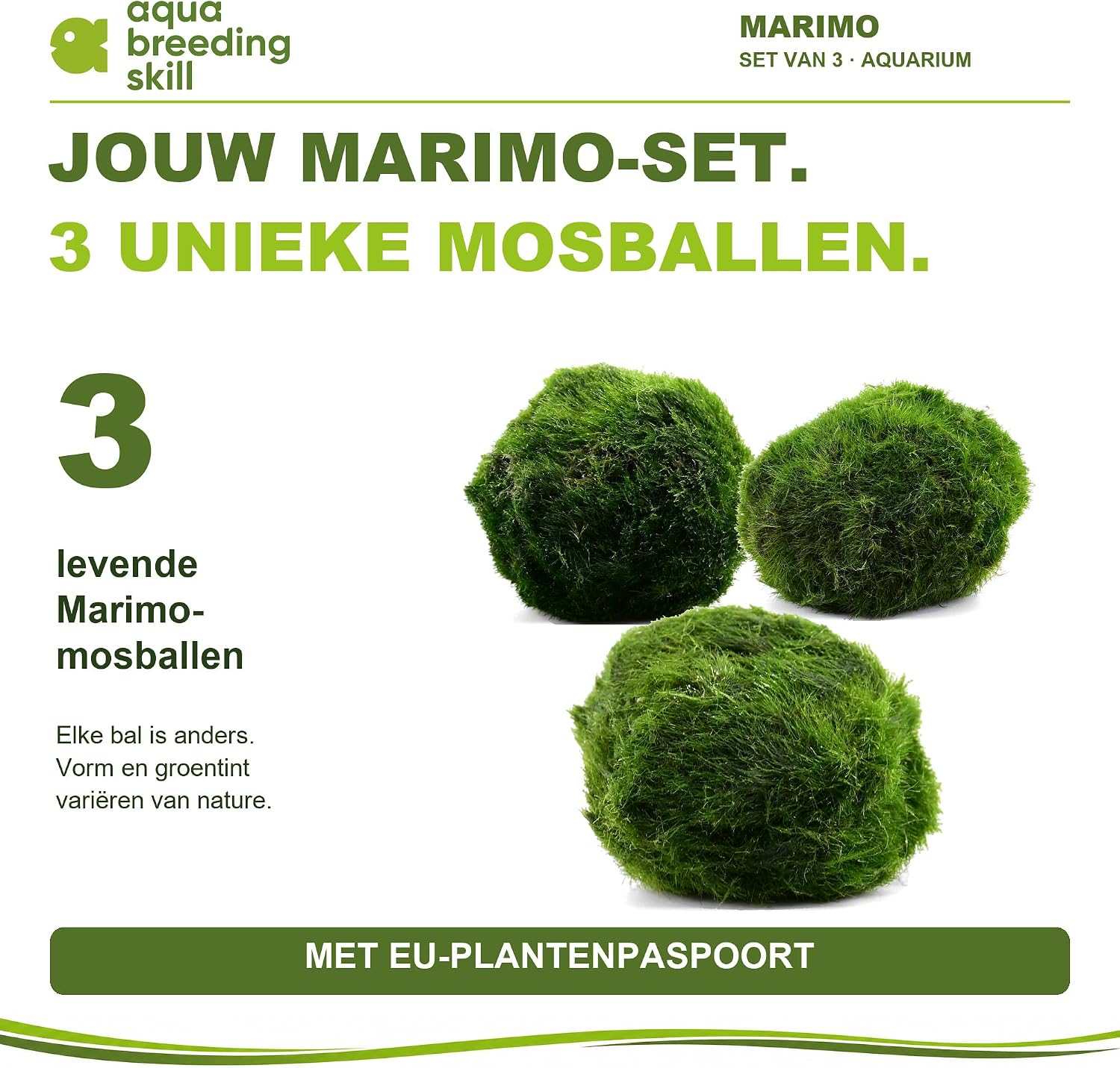 Detalle de Aqua Breeding Skill Marimo mosballen, set van 3, 4–5 cm voor zoetwateraquaria