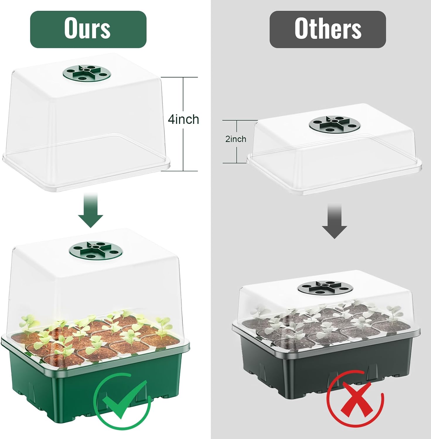 Detalle 2 de NBPLUS Seed Starter Tray, 60-Cell
