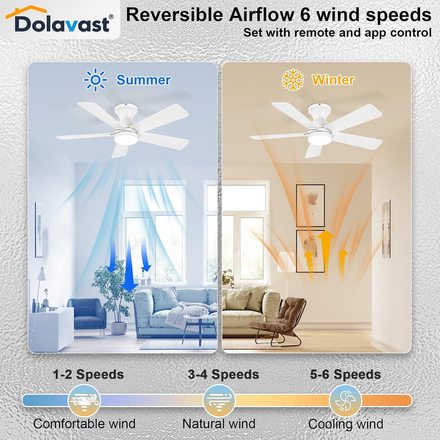 Detalle 1 de Dolavast HY-6163-5/42 42-Inch Low-Profile Ceiling Fan with Light