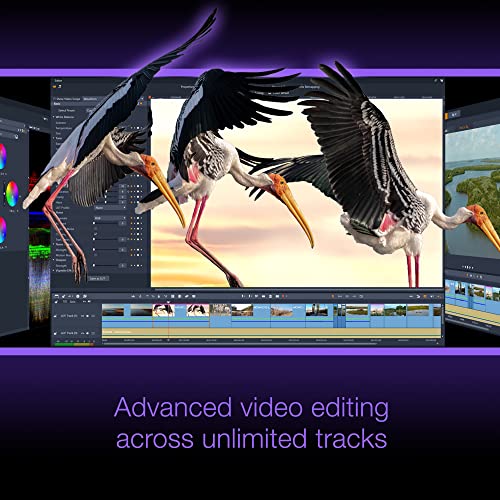 Detalle 2 de Corel Pinnacle Studio 26 Ultimate: edición de video avanzada para proyectos profesionales