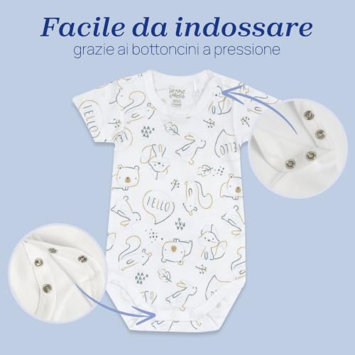 Detalle de Chicco Bimba 0-24 Set di 4 Body a Maniche Corte