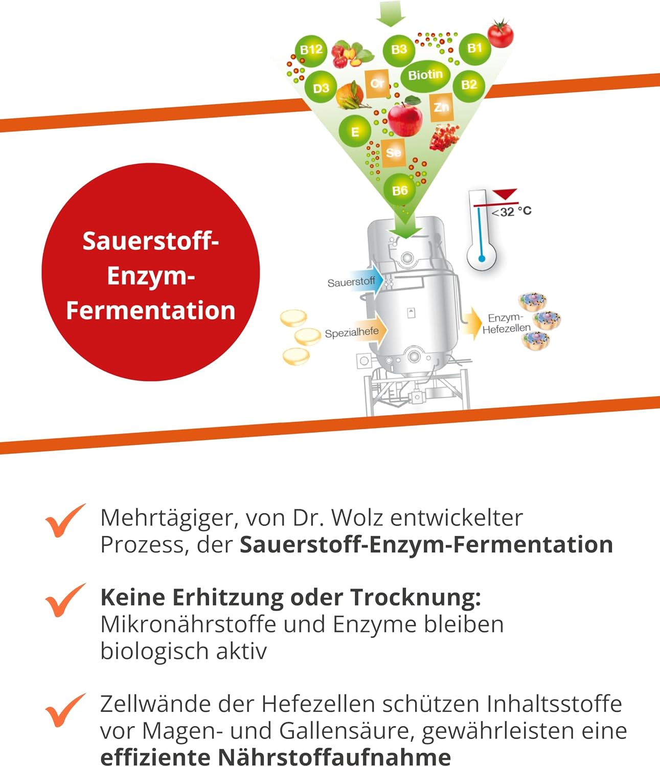 Detalle 1 de Dr. Wolz Zell Oxygen Immunkomplex 3x 250 ml