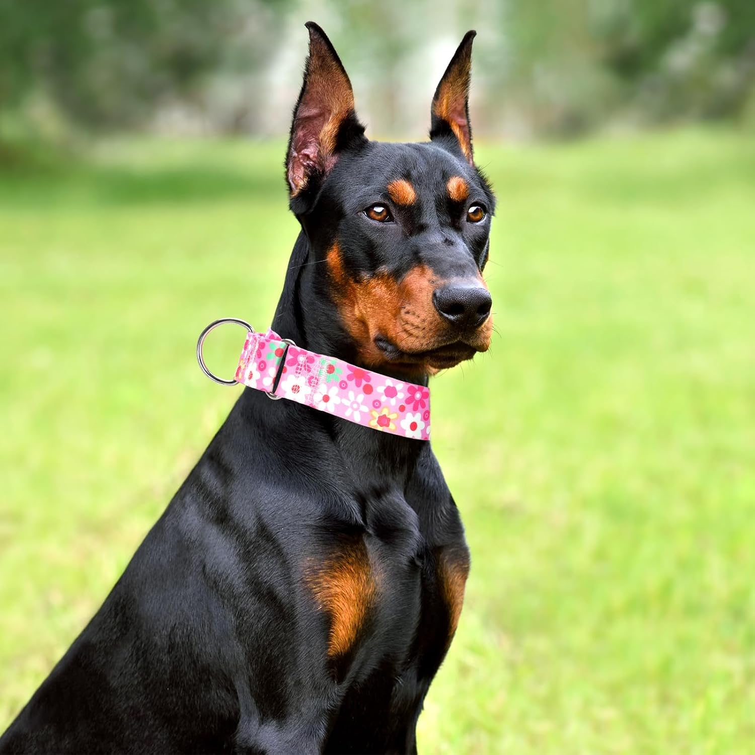 Thumbnail 4 de MAOWUWUJOZ Pink XL Martingale Dog Collar, 1.5-Inch Adjustable Nylon