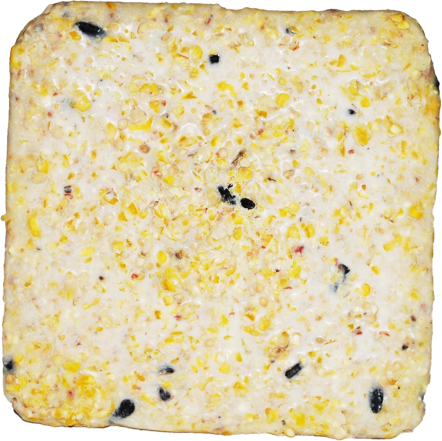 Detalle de ST. ALBANS BAY SUET PLUS 240 Wild Bird Suet Cakes, 11 oz, 10-Pack
