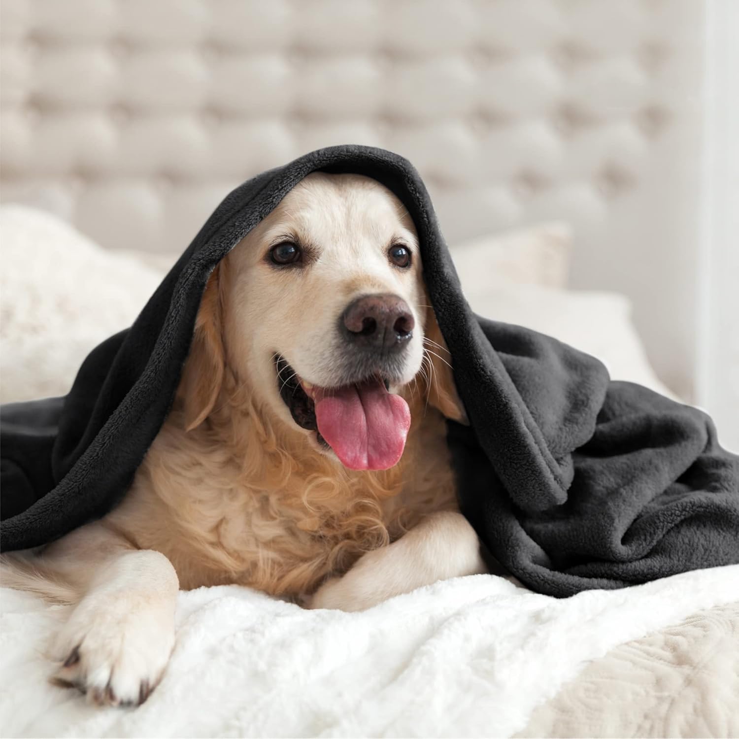 Thumbnail 6 de BEDELITE Fleece Blanket 50x60 inches cozy throw