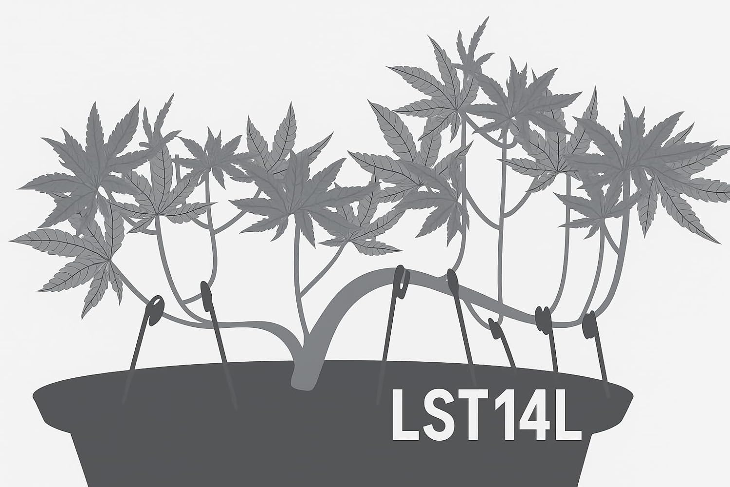 Thumbnail 6 de Growerz 20L 5-Pack LST Fabric Grow Bags for Low-Stress Training with Handles and Twist Tie