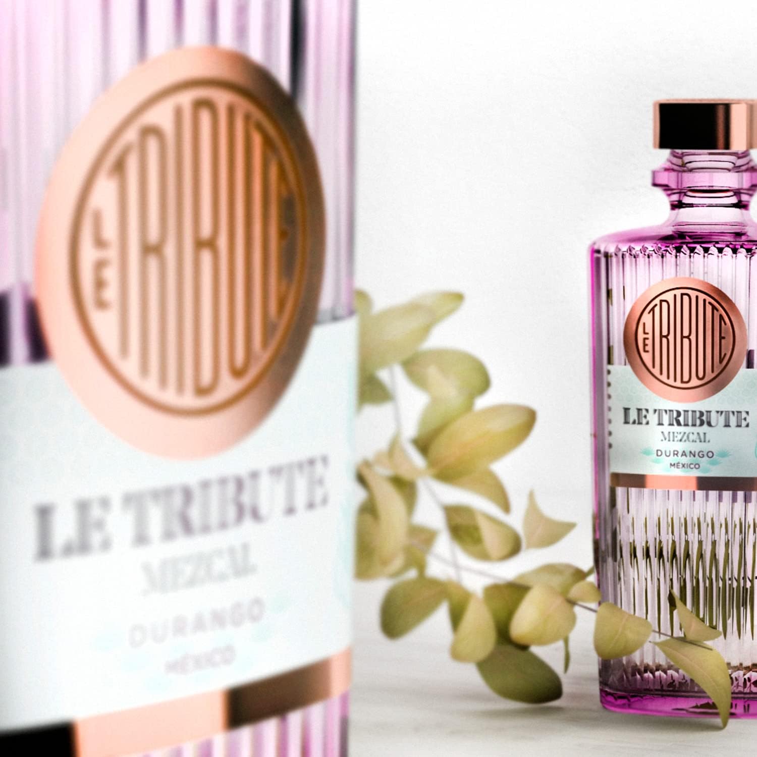 Detalle 2 de FRESH LE TRIBUTE MEZCAL – 700 ml, rauchig-süßer Geschmack aus Cenizo Silvestre Agave