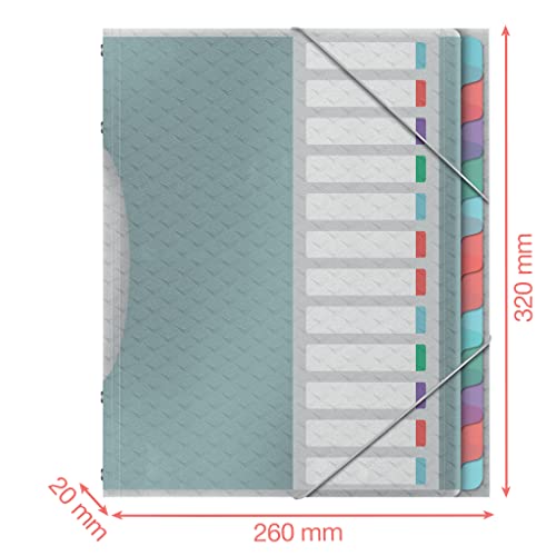 Detalle de Esselte Trieur A4 à 12 Compartiments Colour'Breeze Texturé – Multicolore