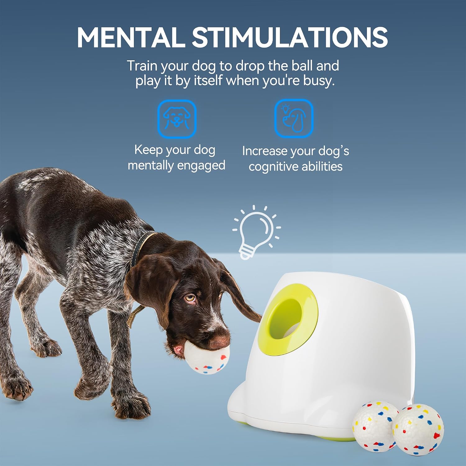 Thumbnail 6 de All For Paws Automatic Ball Launcher 64ft