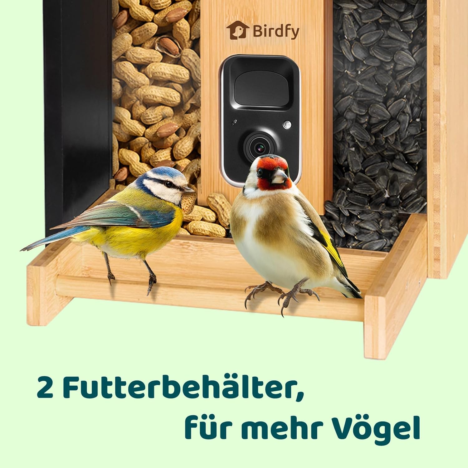 Thumbnail 6 de NETVUE Bambus Mini Vogelfutterhaus mit Kamera 1,9 L