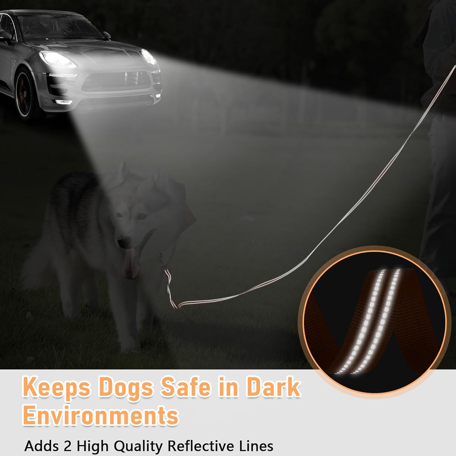 Detalle 2 de 5m Reflective training long line dog lead