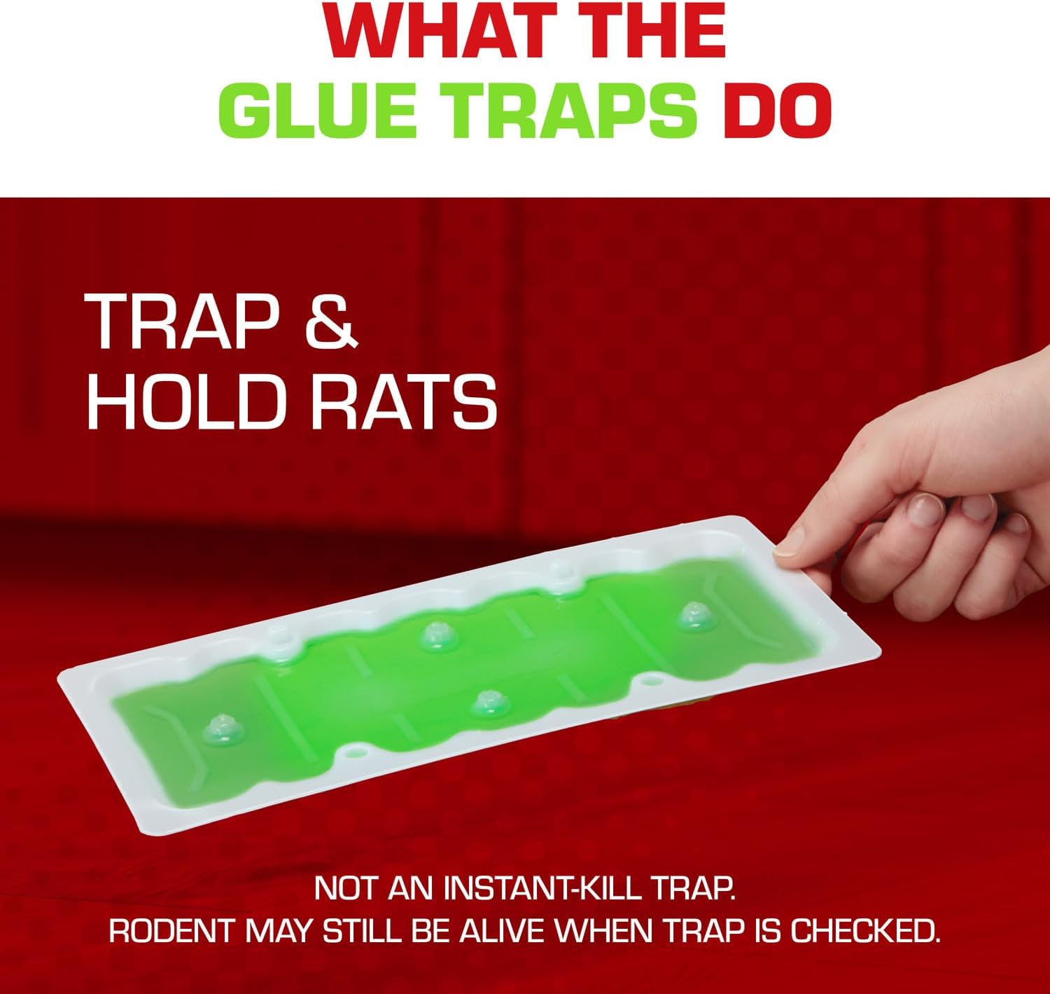 Thumbnail 6 de Tomcat 0362910 Super Hold Rat-Size Glue Traps, Ready-to-Use, 2 Count