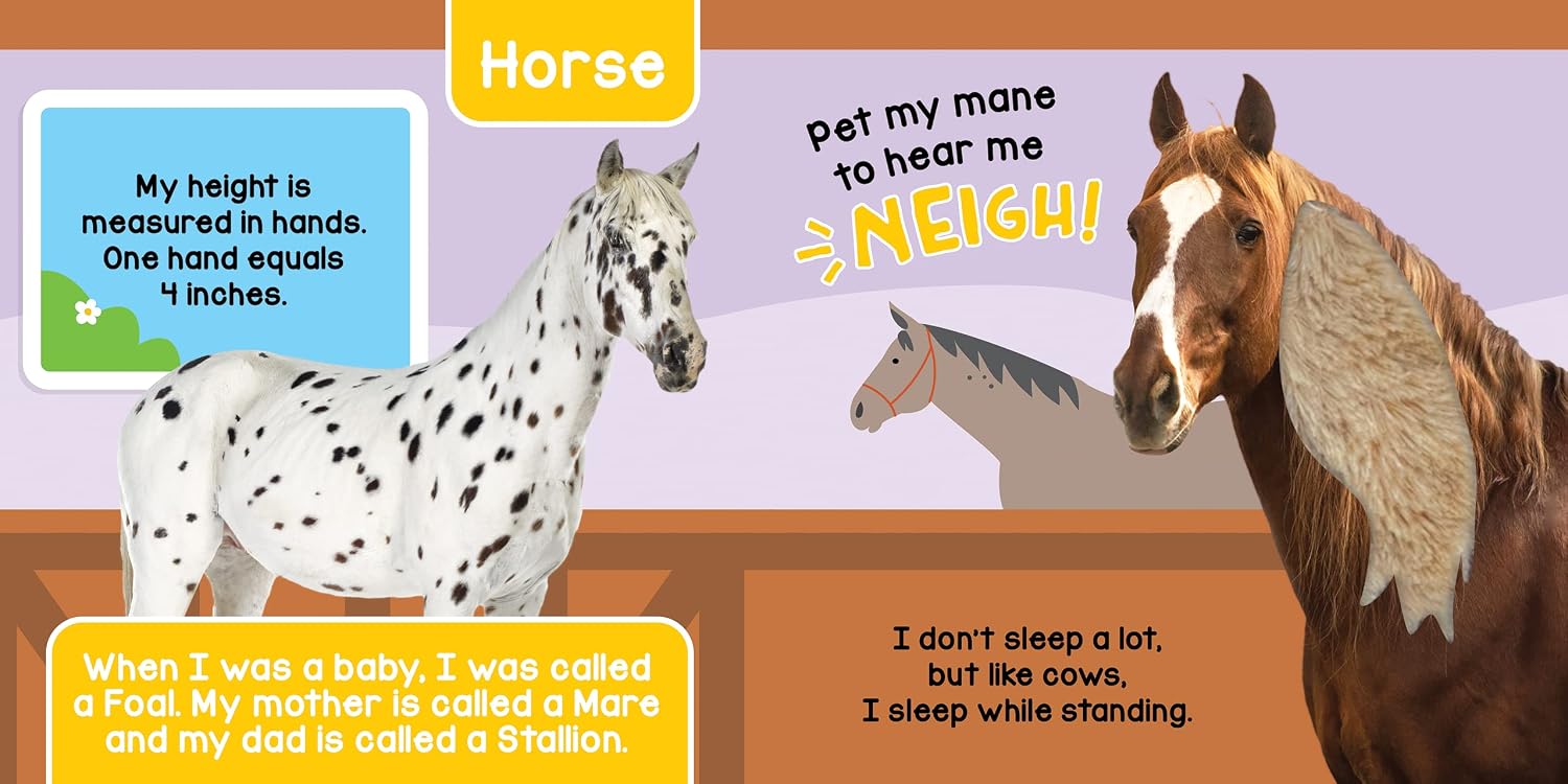 Thumbnail 6 de Little Hippo Books Farm Animals Touch-and-Feel Sound Book for Babies and Toddlers