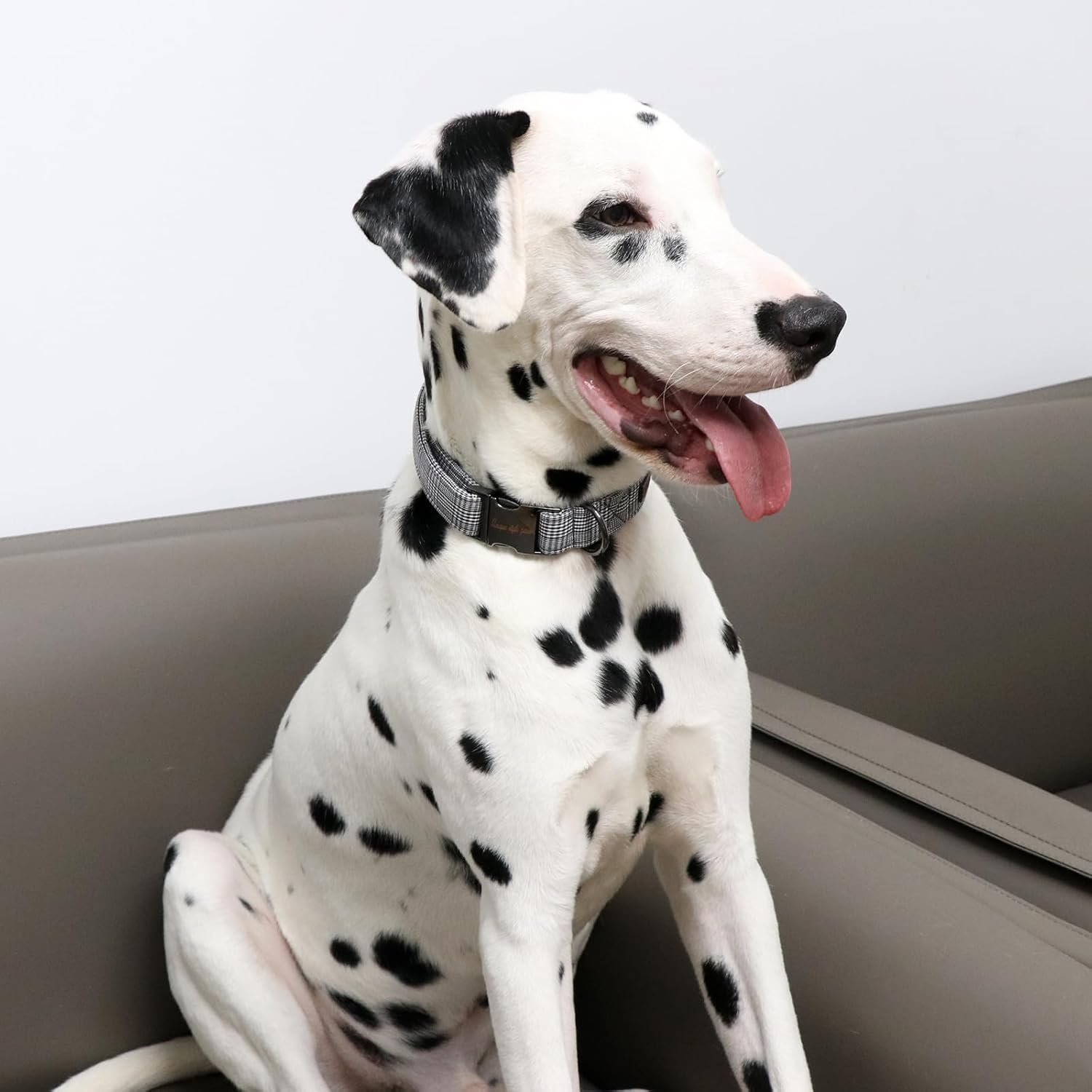 Thumbnail 3 de Unique Style Paws Hundehalsband mit verstellbarem Baumwollband und Metall-D-Ring