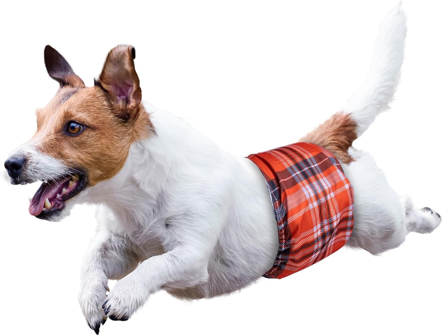 Thumbnail 6 de MICOOYO Belly Bands for Dogs - Reusable Male Dog Nappies (3 Pack), Plaid, Size L