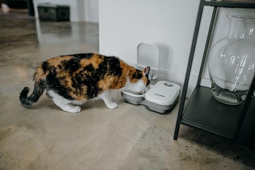 Thumbnail 3 de Cat Mate Futterautomat C200 – Zwei Mahlzeiten für Haustiere (C200)