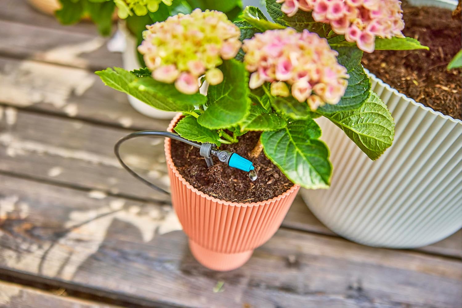 Thumbnail 4 de Gardena Micro-Drip-System Gocciolatore di fine linea regolabile 0-15 l/h (10 pz, 13305-20)