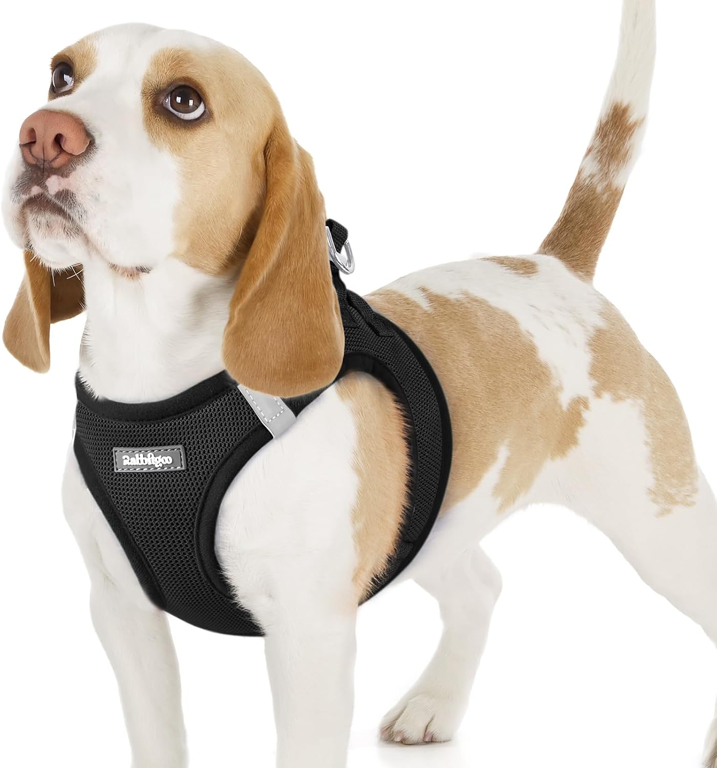 Detalle de rabbitgoo Hundegeschirr für kleine Hunde (Step-in, weiches Mesh, reflektierend) – Schwarz, Größe M
