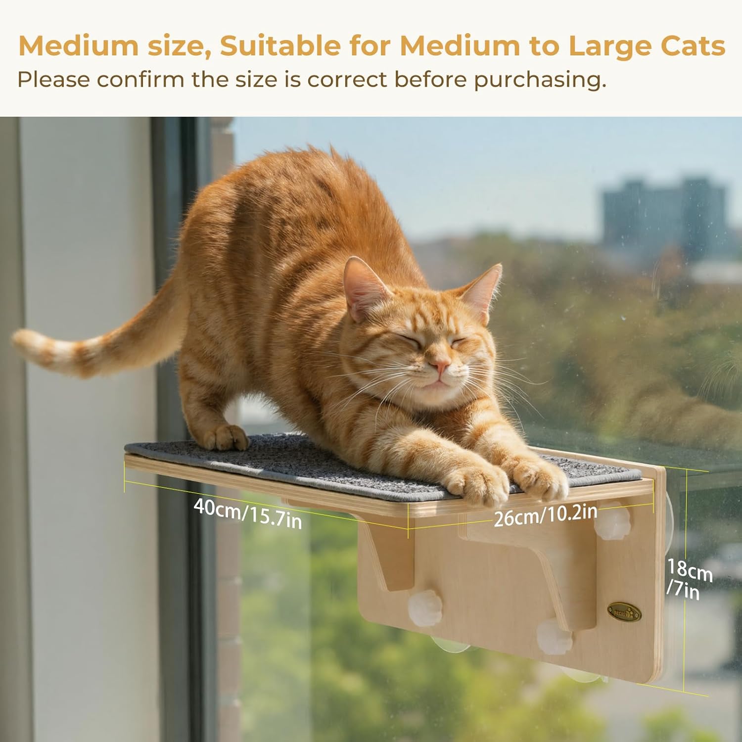 Detalle de pecute Hamac chat fenêtre en bois massif avec ventouses et griffoir mural (jusqu’à 12–15 kg)