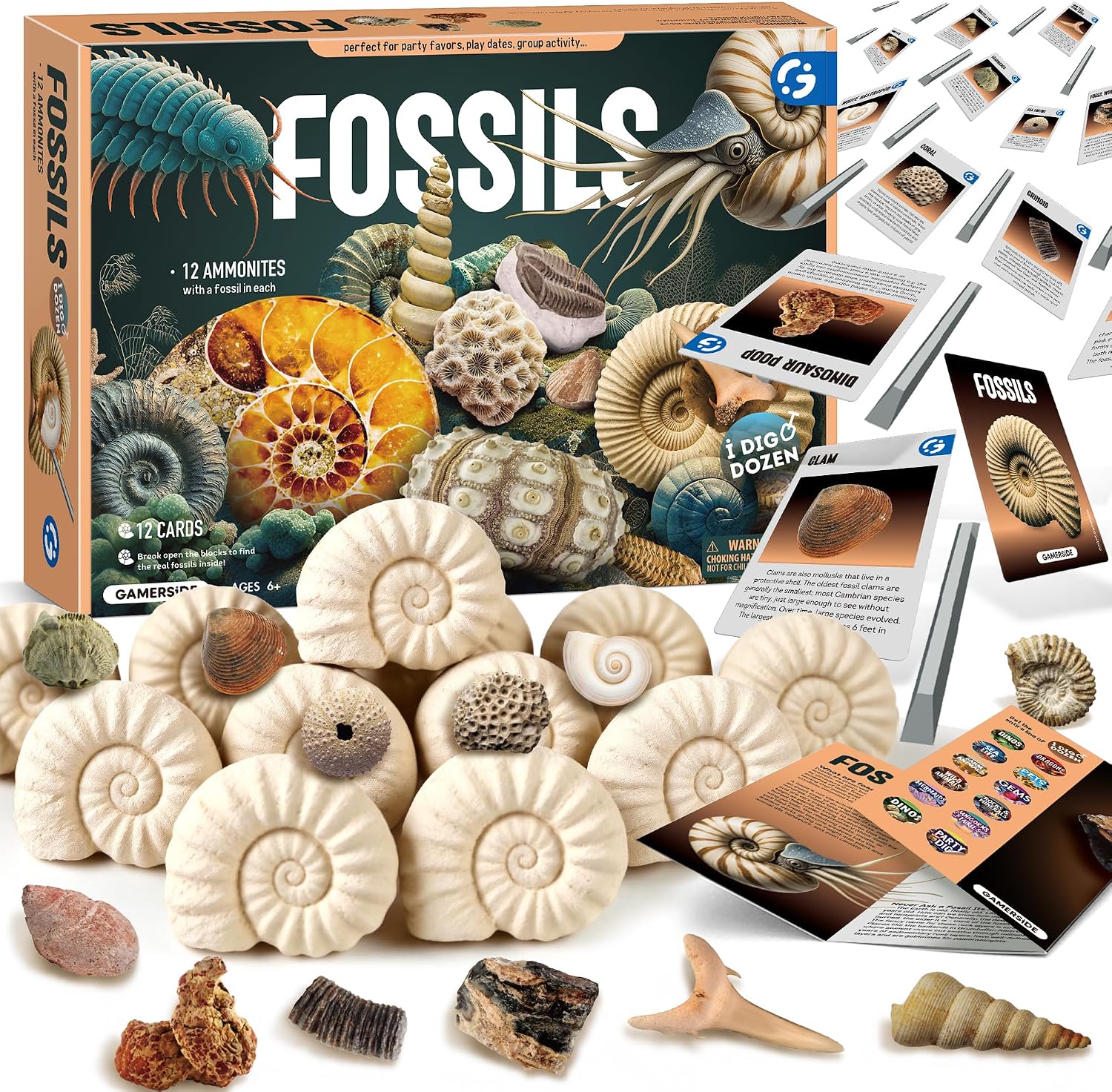 Detalle de Gamerside Fossil Digging Kit, 12 Fossils