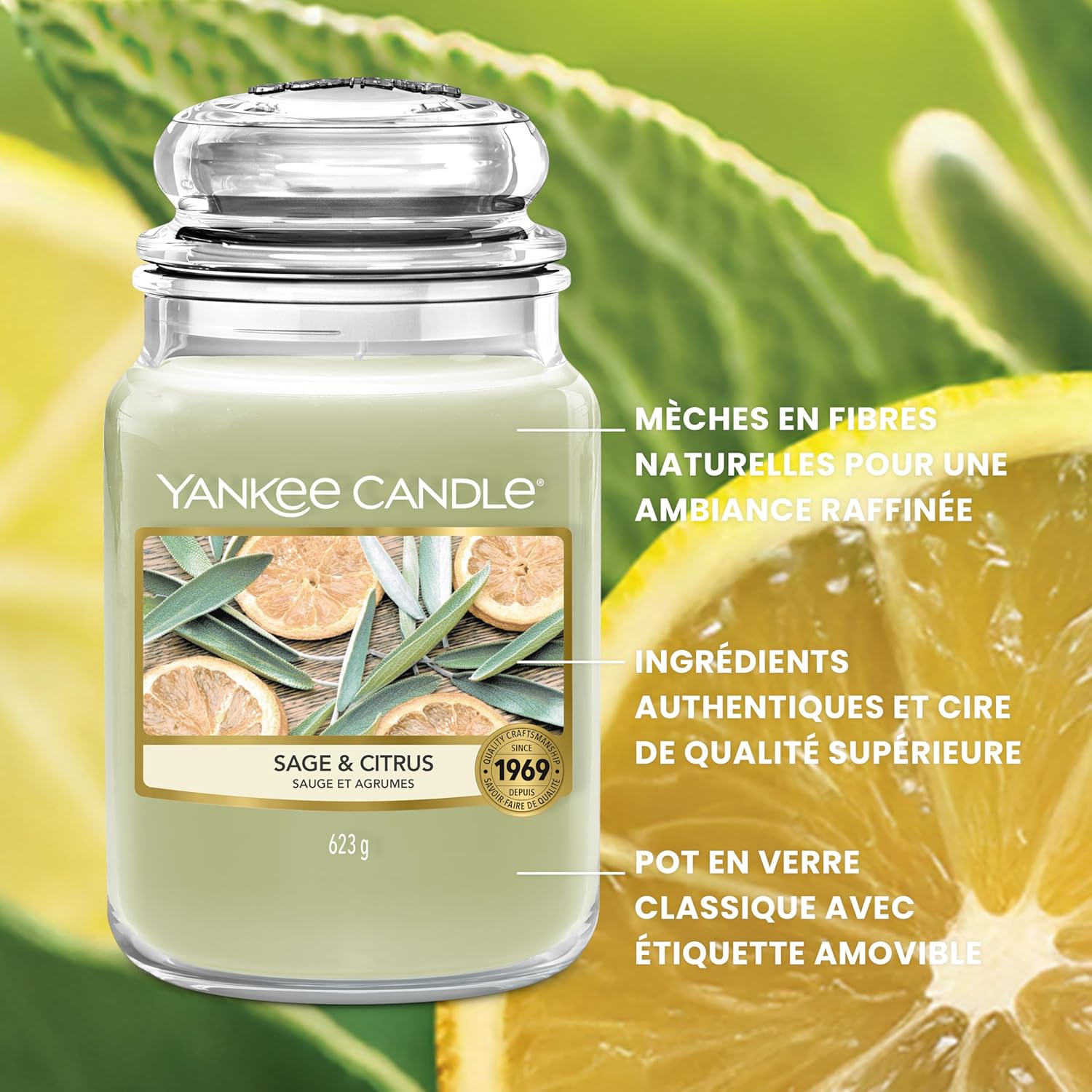 Thumbnail 3 de Yankee Candle Bougie parfumée Sauge & Agrumes Grand Pot – longue durée, 150 heures