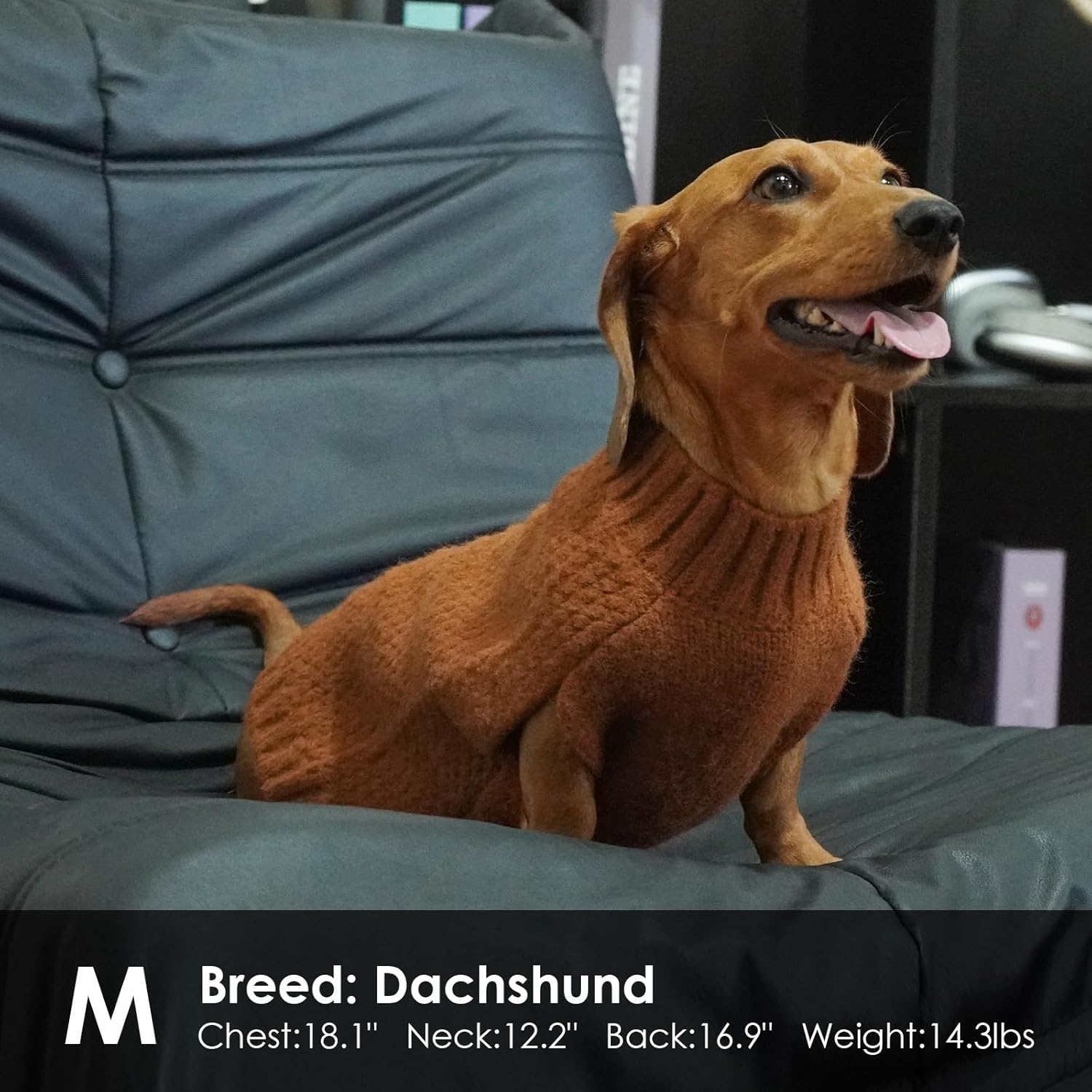 Thumbnail 4 de Katzinst knitted dog jumper for large breed dogs (Caramel, XL)