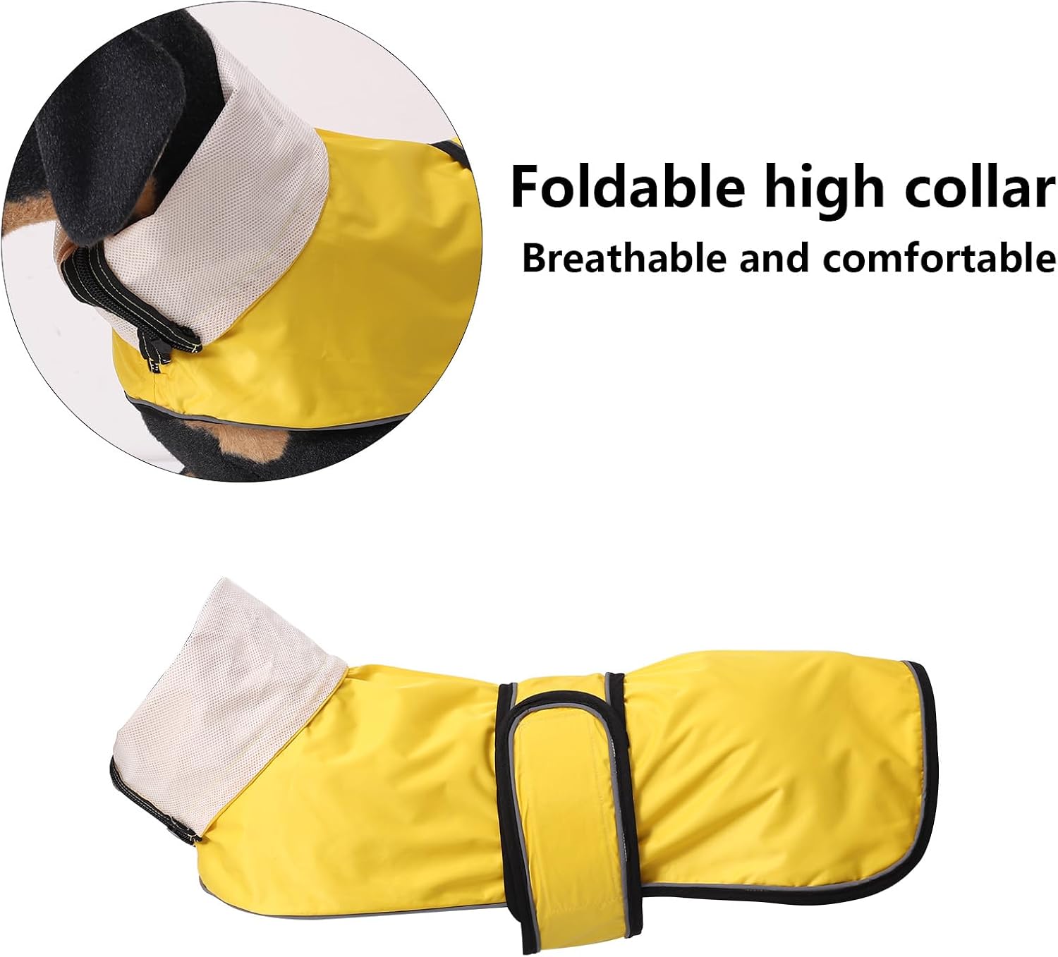 Thumbnail 3 de Dachshund Raincoat Reflective Trim