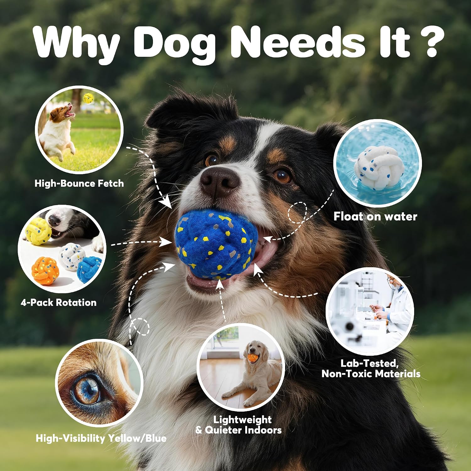 Detalle de FOFOS FFAM-06 Dog Ball Set, 2.8-Inch ETPU Floating Fetch Toys