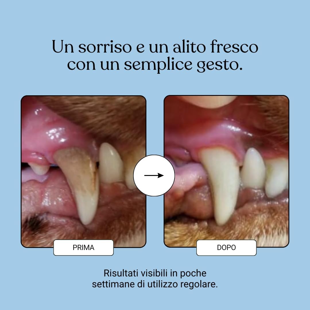 Thumbnail 2 de Bau Dental Formula 5 in 1 per Cani: Additivo per Acqua per Igiene Orale Quotidiana