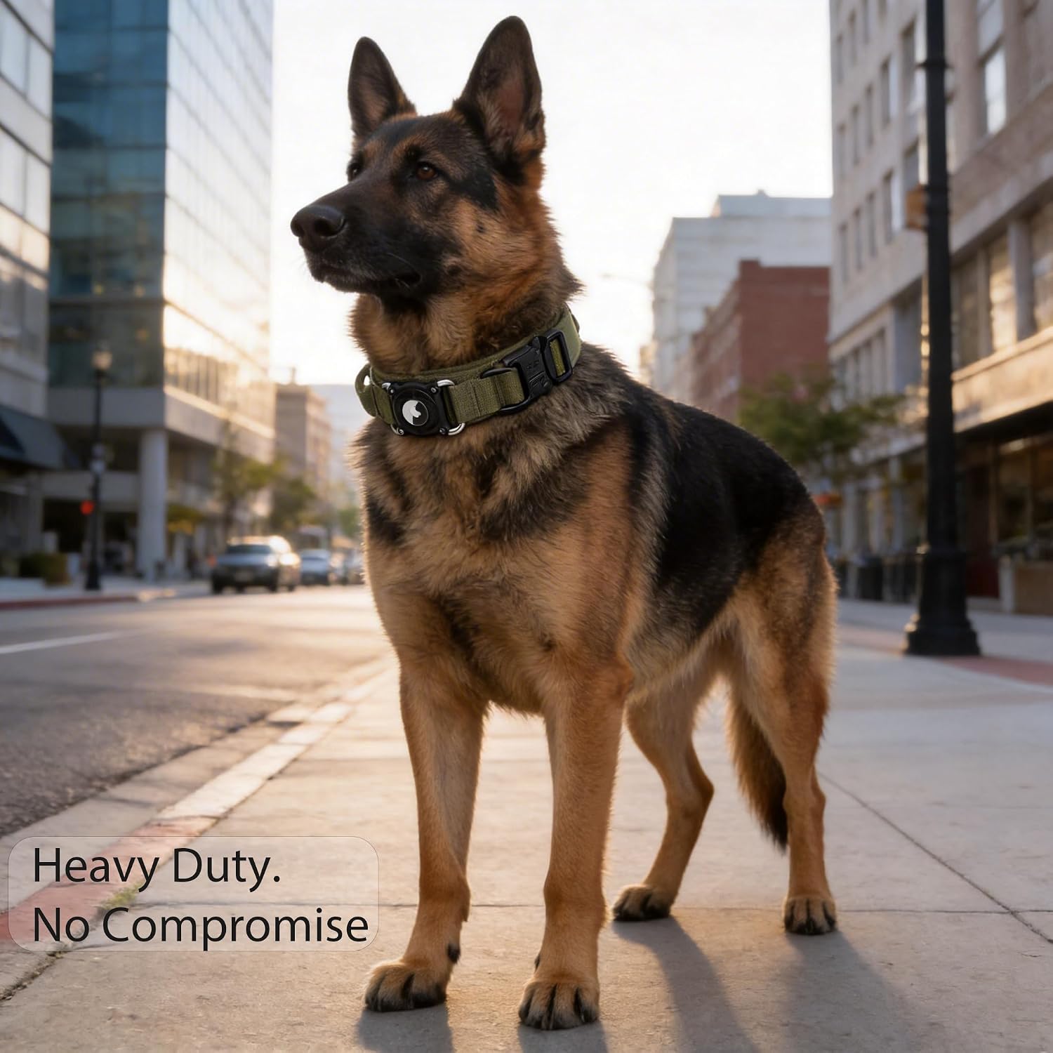Detalle 2 de Taghelp Tactical Dog Collar with Waterproof AirTag Holder, Metal Buckle and Handle