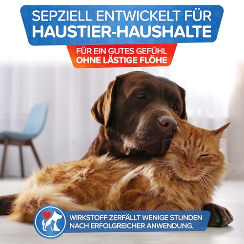Detalle de Patronus Flöhe Power Fogger – maximale Sofortwirkung 2x150 ml