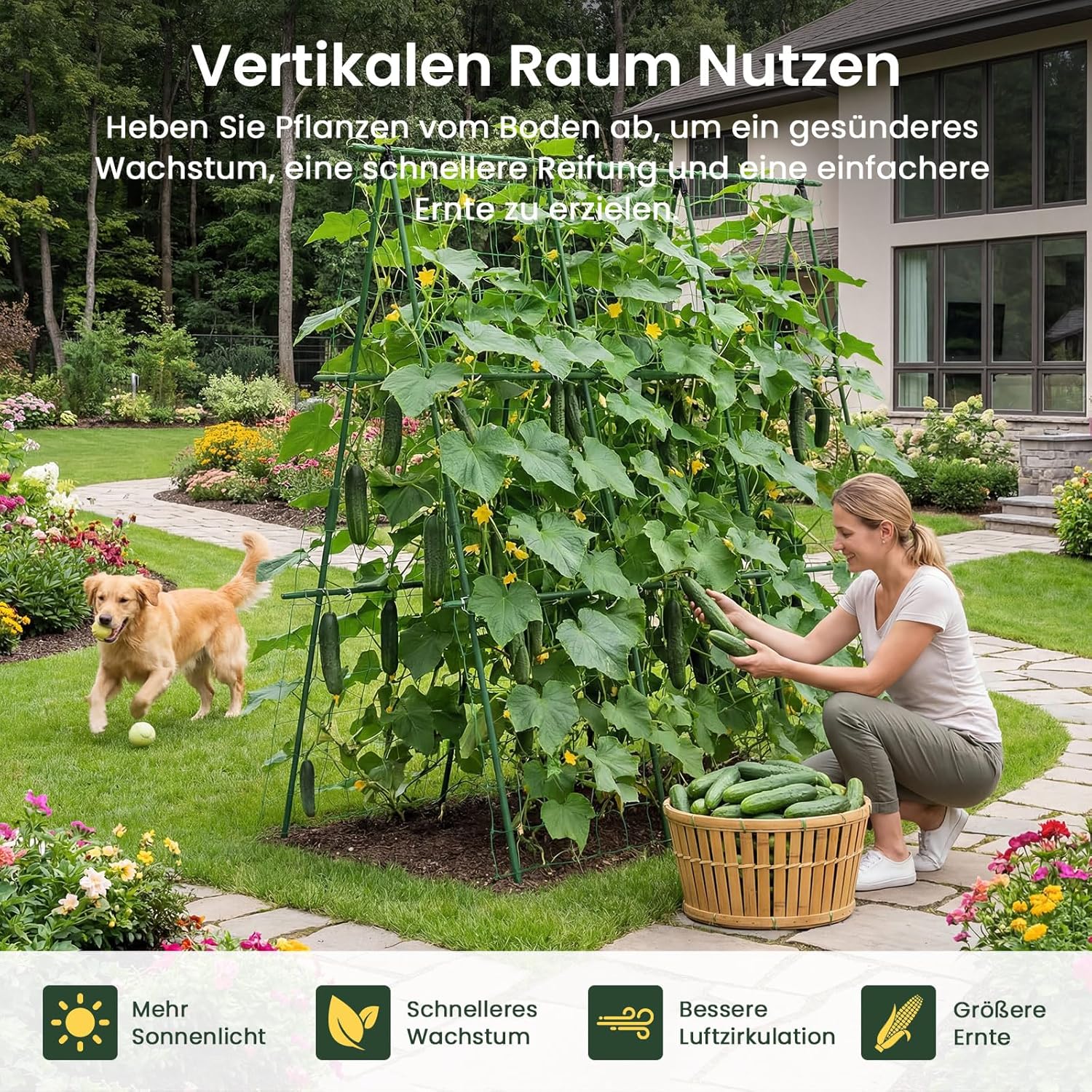 Detalle 2 de ZIKEBTUY Rankhilfe für Gurken 120 x 120 cm – Metall-Rankbogen mit Gartenklammern und gedrehtem Riemen