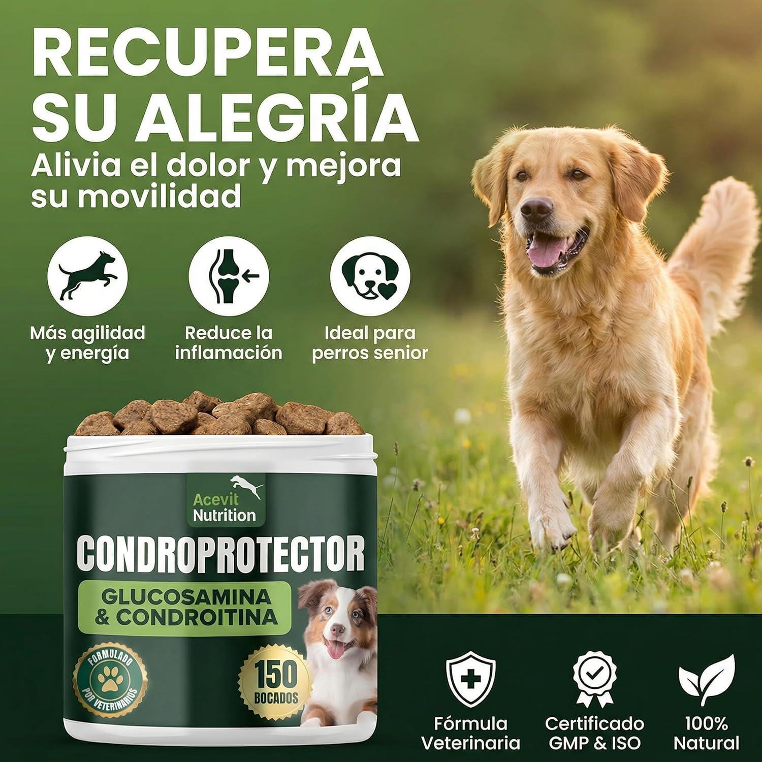 Detalle 2 de Acevit Nutrition Condroprotector para Perros 100% Natural (150 uds) con glucosamina, condroitina y MSM