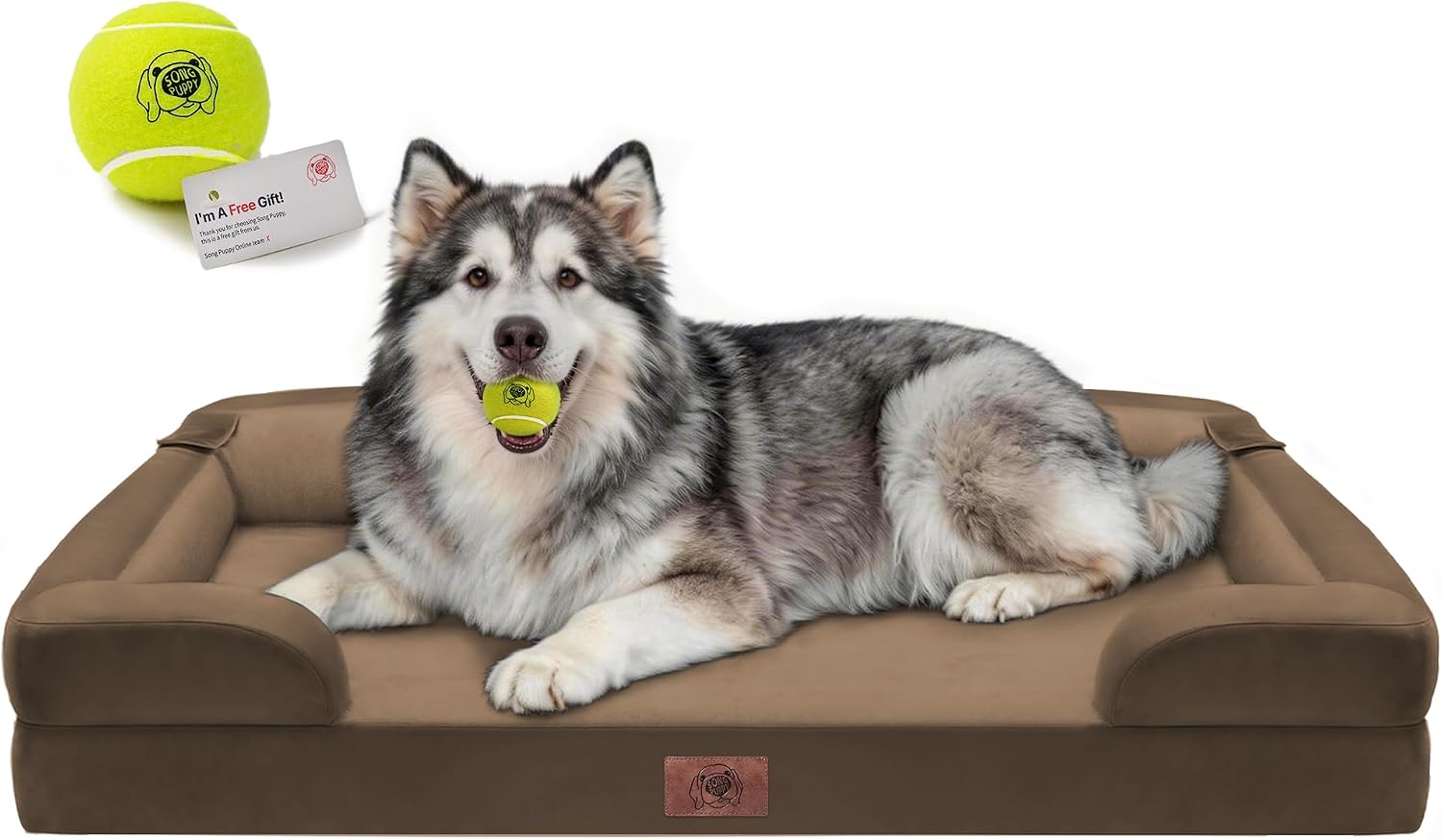 Detalle de Song Puppy Dog Beds-48x30 Orthopedic Dog Bed, 48 x 30-Inch, Dark Brown