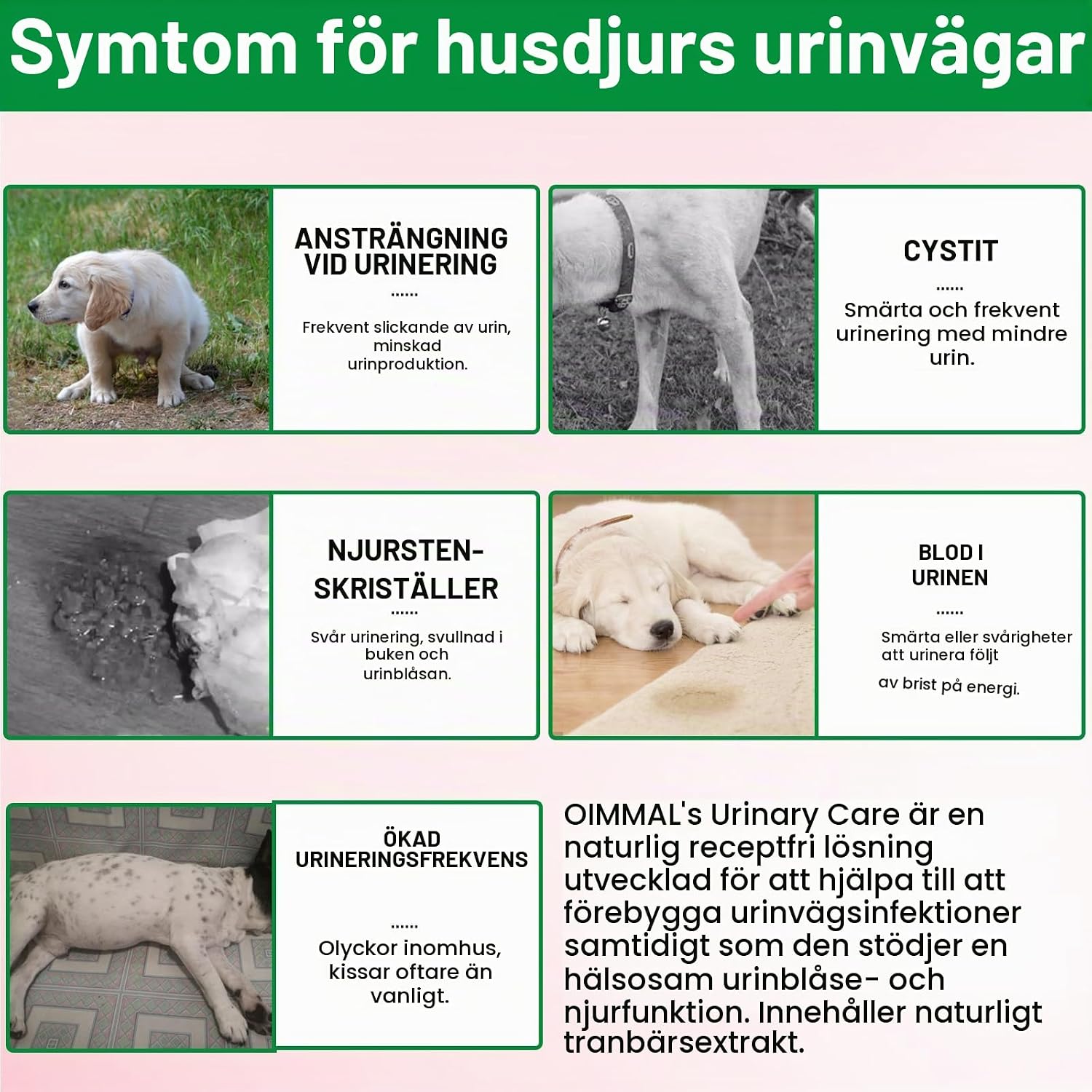 Detalle de RoongDuuDll urindroppar för hund med tranbär, baconsmak och 60 ml