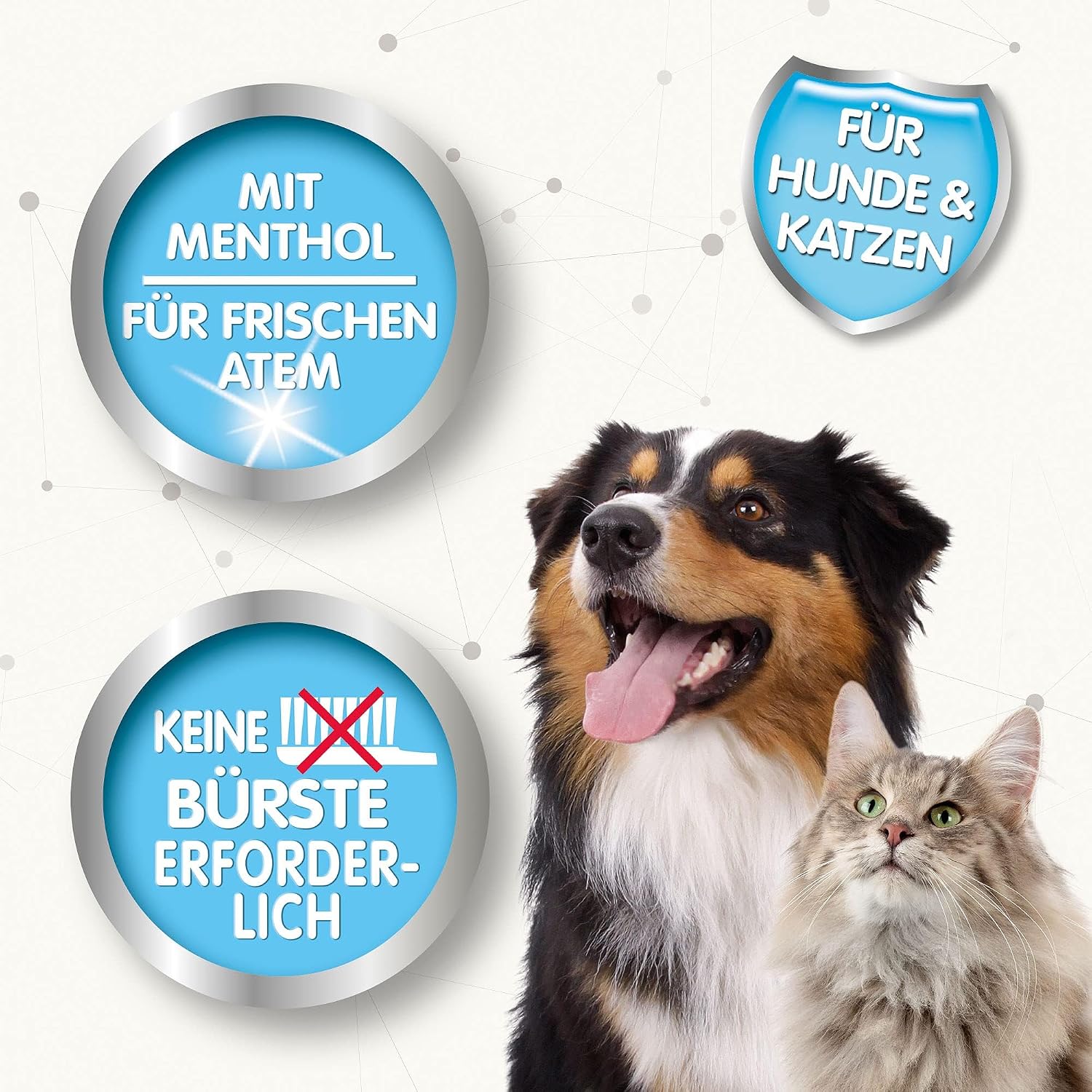 Detalle de Beaphar Mundwasser, 250 ml – einfache Maulhygiene ohne Zahnbürste für Hunde und Katzen
