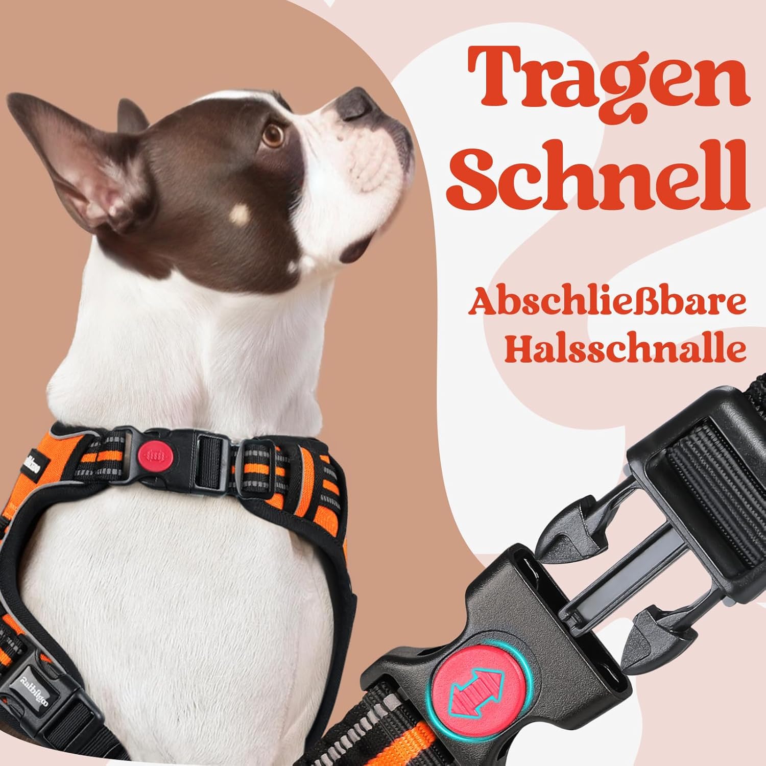Thumbnail 2 de rabbitgoo Hundegeschirr Mittelgroße Hunde (Orange, Größe M) mit Anti-Zug, gepolsterter & reflektierender Brust