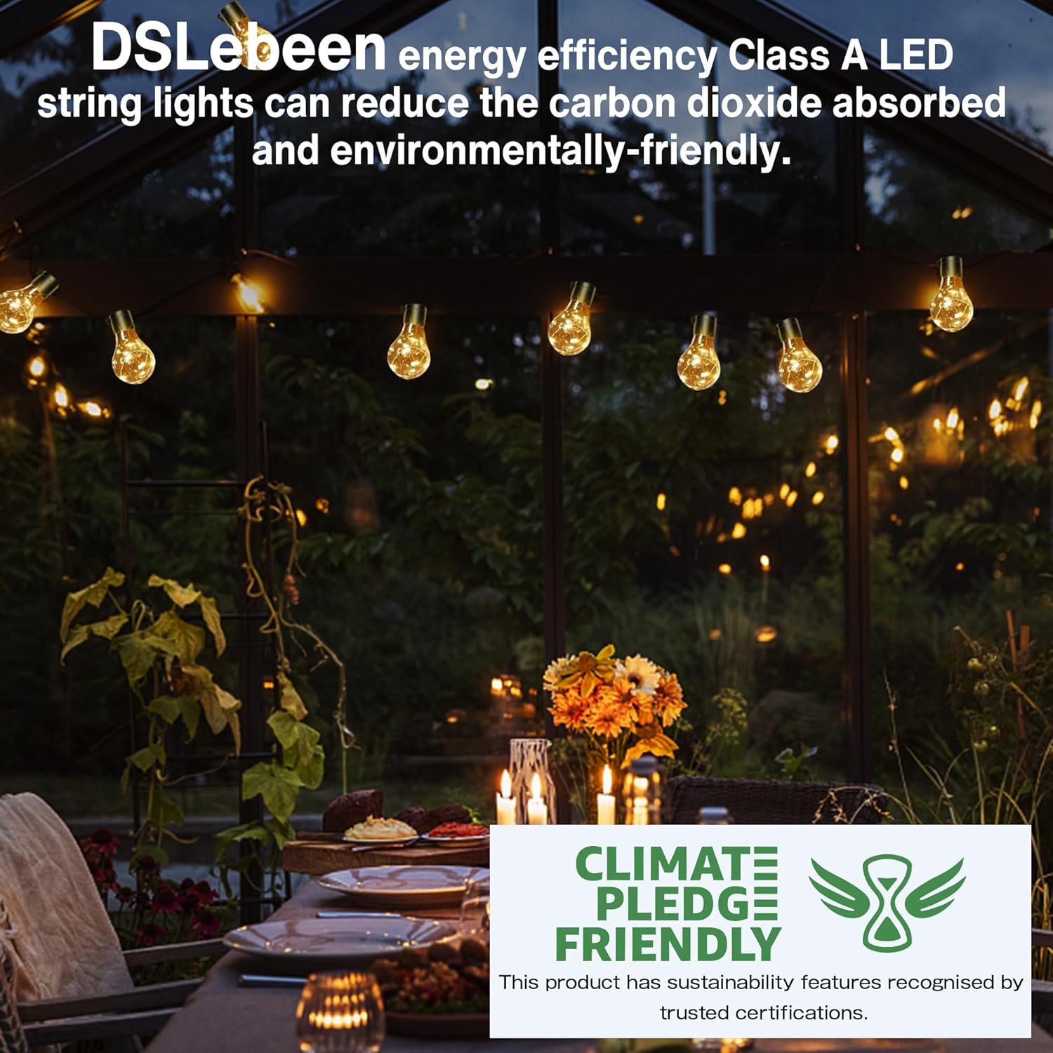 Thumbnail 4 de DSLebeen Catena Luminosa Esterno 9M/30FT LED con Batteria, 12 Lampadine A60 – Decorazione per Giardino e Casa