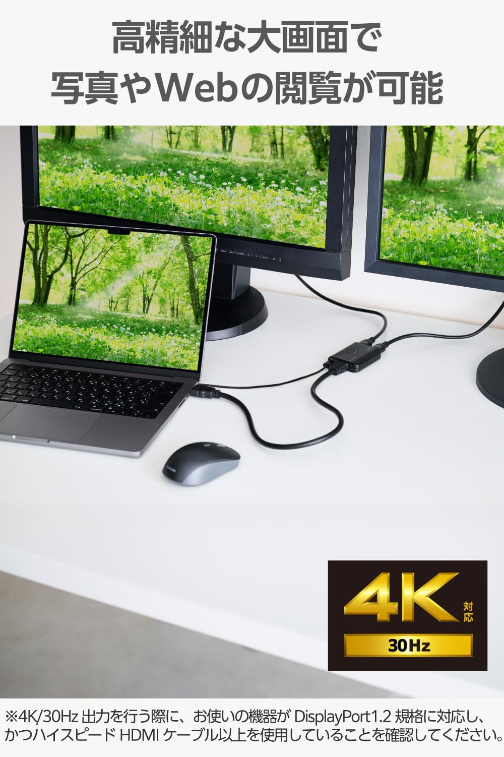 Detalle de エレコム VSP-HD4K120EBK HDMI分配器 1入力2出力・4K/30Hz・HDCP1.4対応