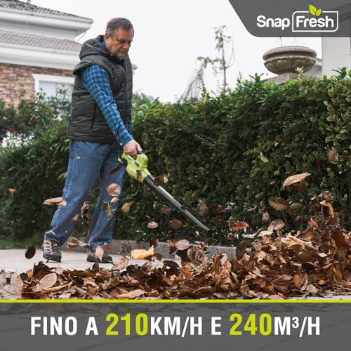 Detalle de SnapFresh Soffiatore a Batteria 20V: leggero, potente e versatile