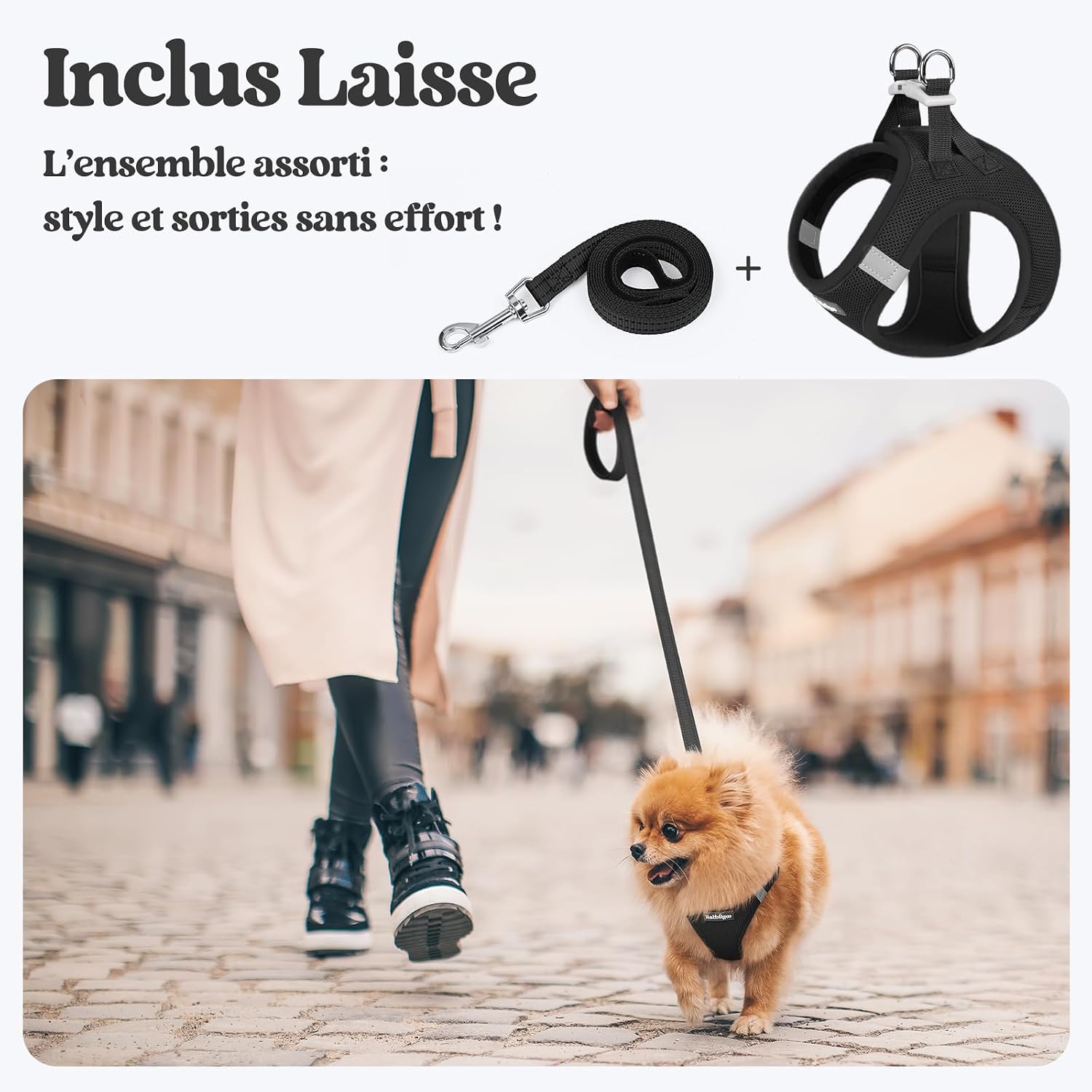 Detalle de Rabbitgoo Harnais Chien Petite Taille avec Laisse Réfléchissante – Harnais chiot en maille souple et laisse de 156 cm