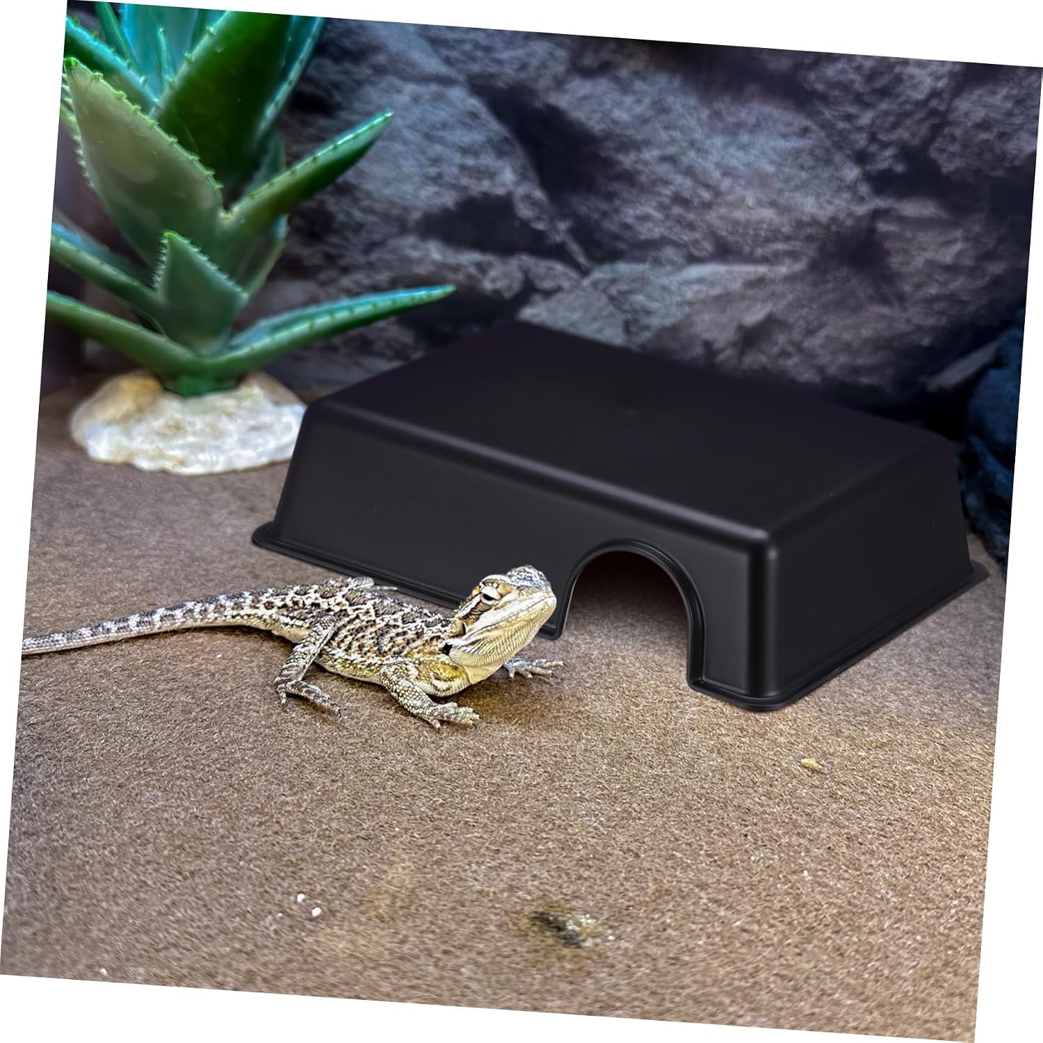 Thumbnail 3 de Milisten Reptile Hide Large Plastic Cave Shelter (9.45 x 6.77 x 2.24 inches)